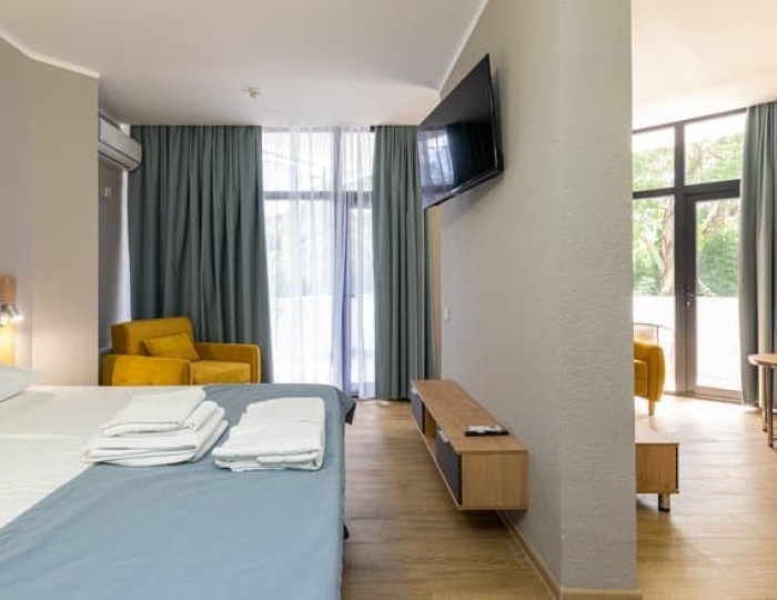 Полулюкс 2-местный 1-комнатный полулюкс в корпусе "Бриз" - Санаторий «МВО-Сухум»